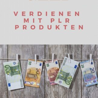 Mit PLR Produkten Geld verdienen